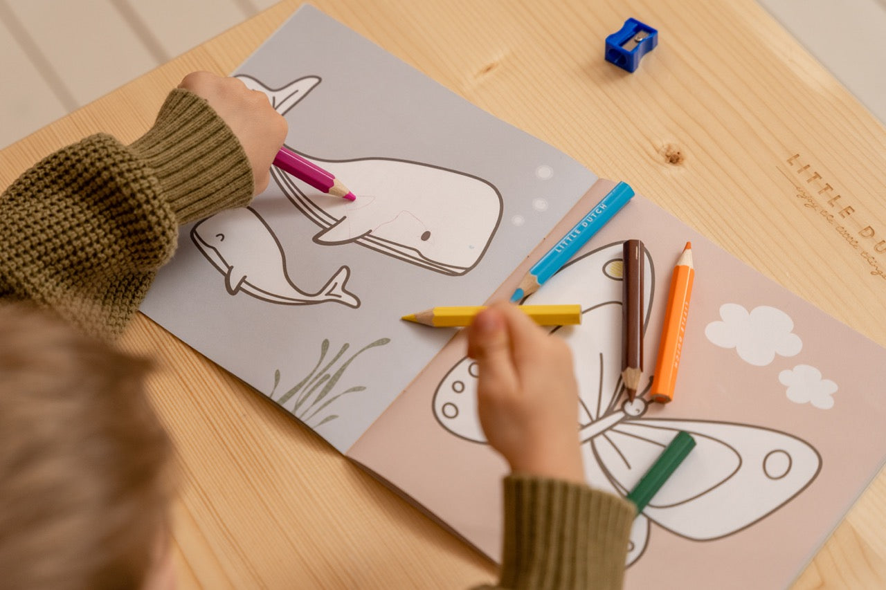 Little Dutch - kleurboek