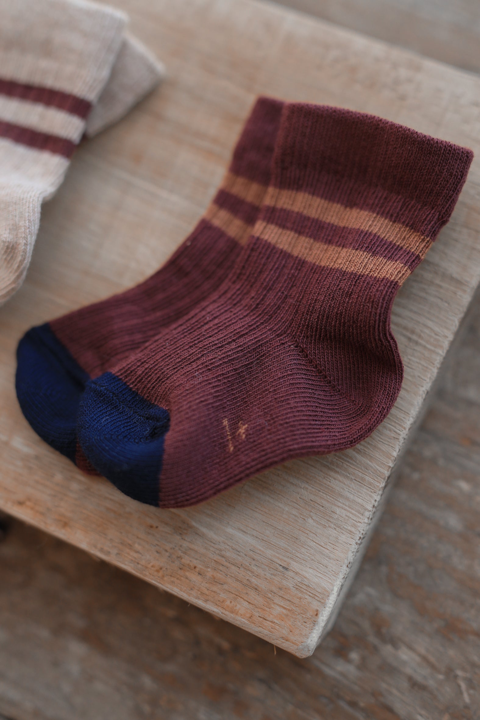 1+ in the family - socks soren - melanzana