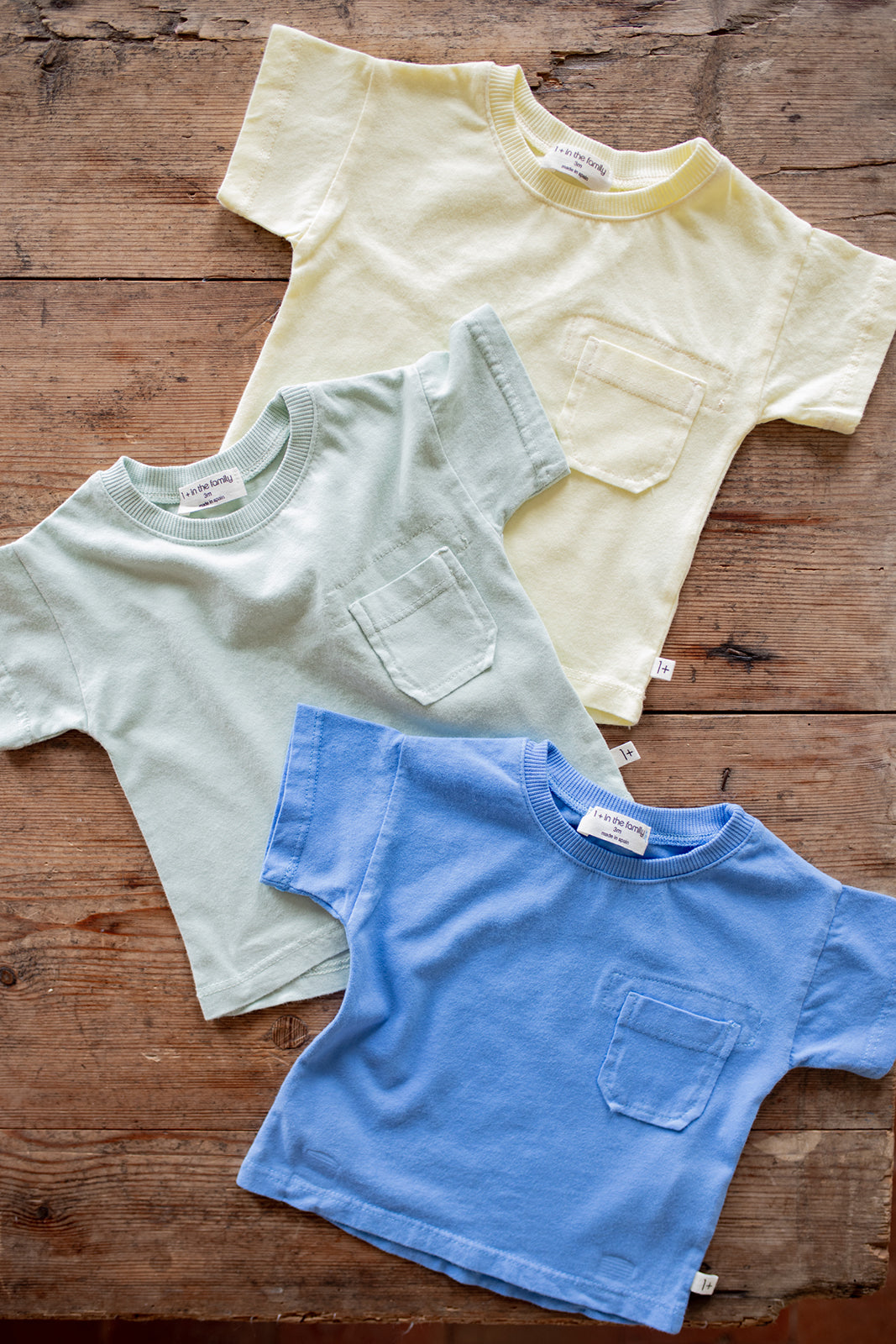 1+ in the family - formentera t-shirt - off white