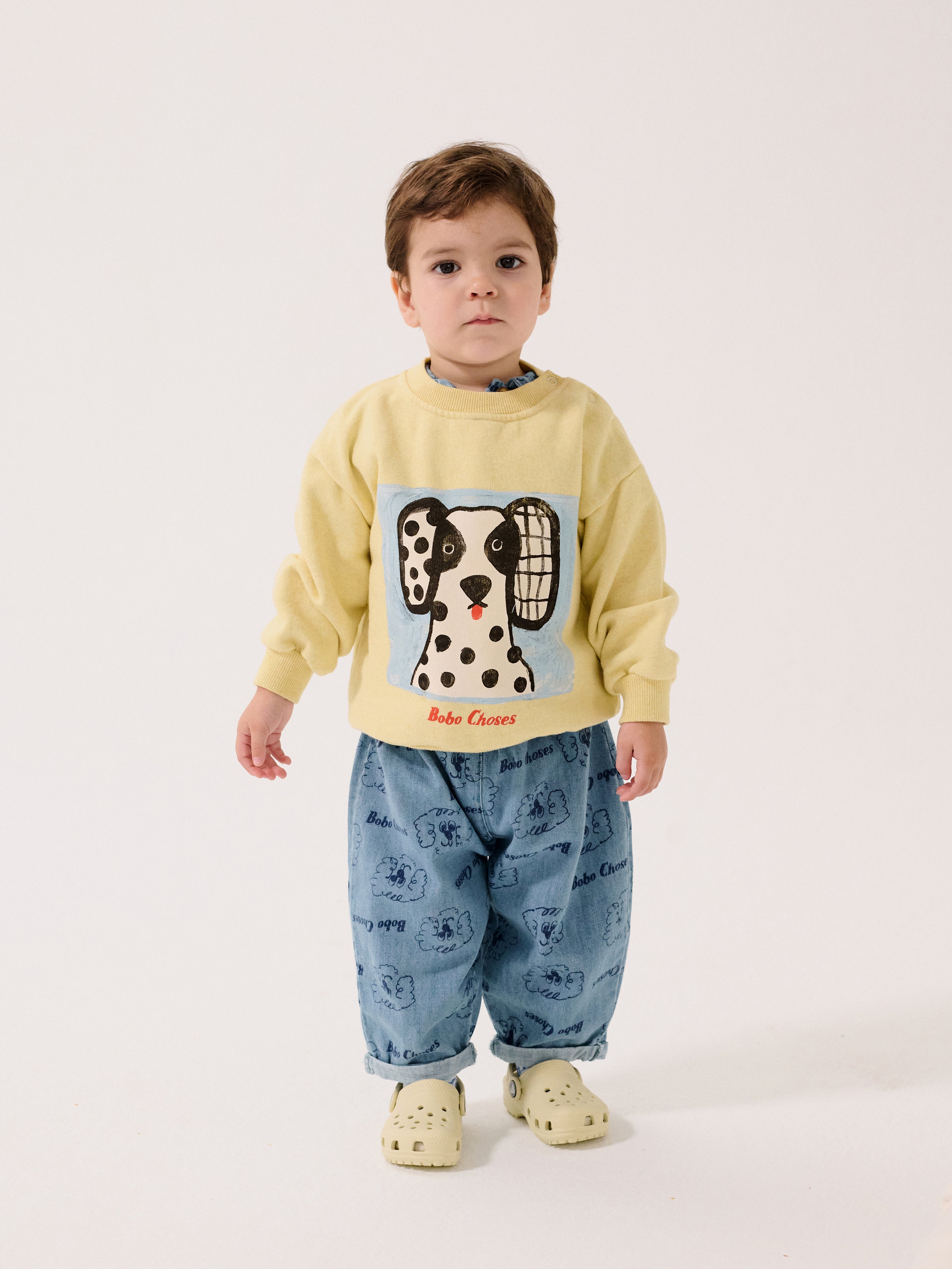 Bobo Choses - van dog sweatshirt