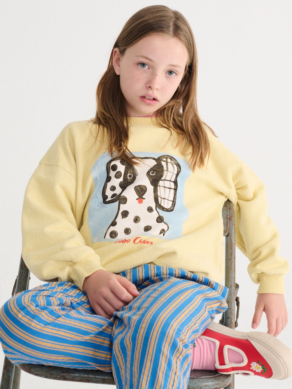 Bobo Choses - van dog sweatshirt