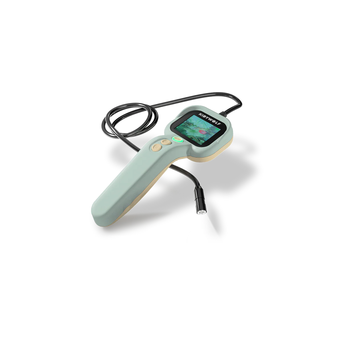 Kidywolf - kidyexplore