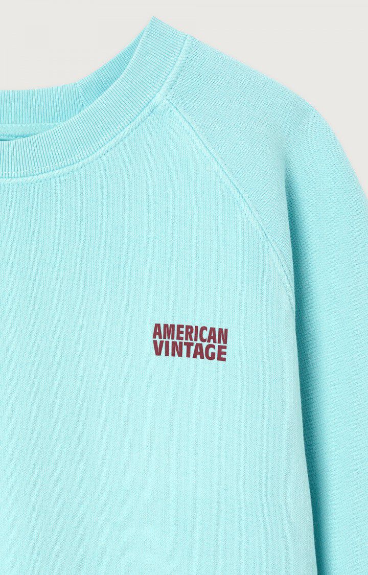 American Vintage - izubird sweater - glacier vintage