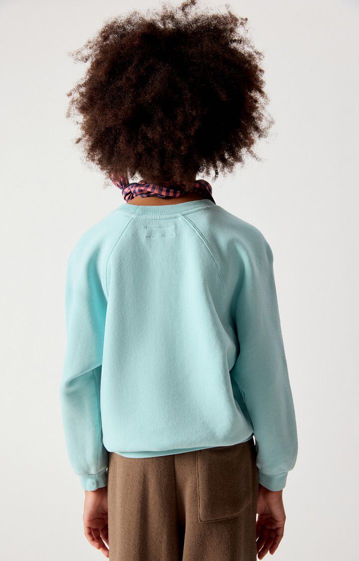 American Vintage - izubird sweater - glacier vintage