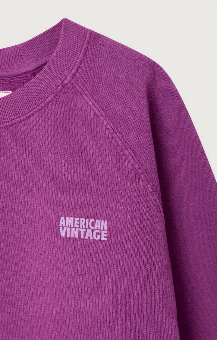 American Vintage - izubird sweater - jus de raisin