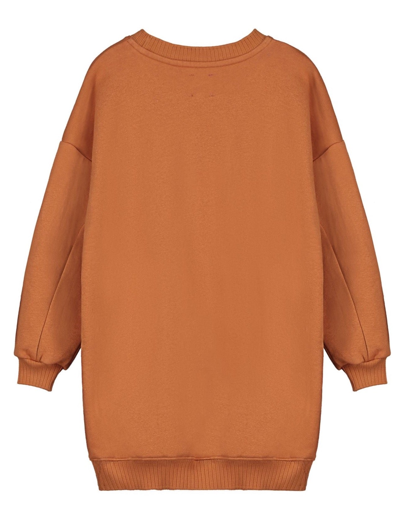 Letter to the World - lulu dress - cinnamon