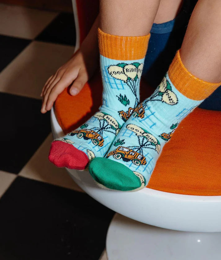 Hello Hossy - pack of socks - cars