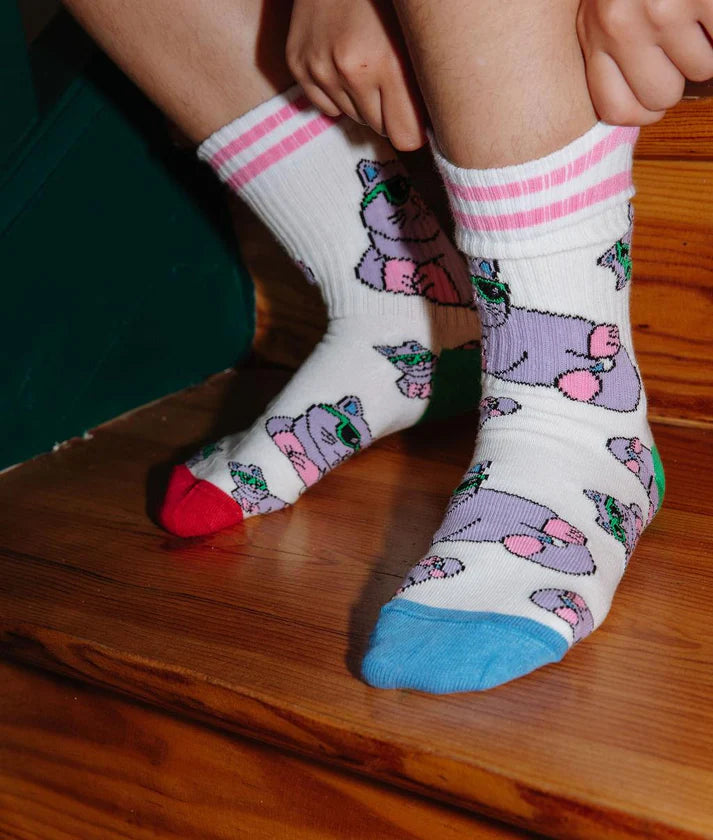 Hello Hossy - pack of socks - cats