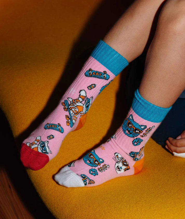 Hello Hossy - pack of socks - cats