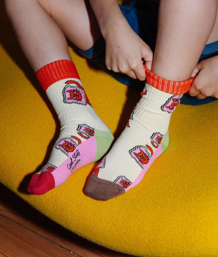 Hello Hossy - pack of socks - cats