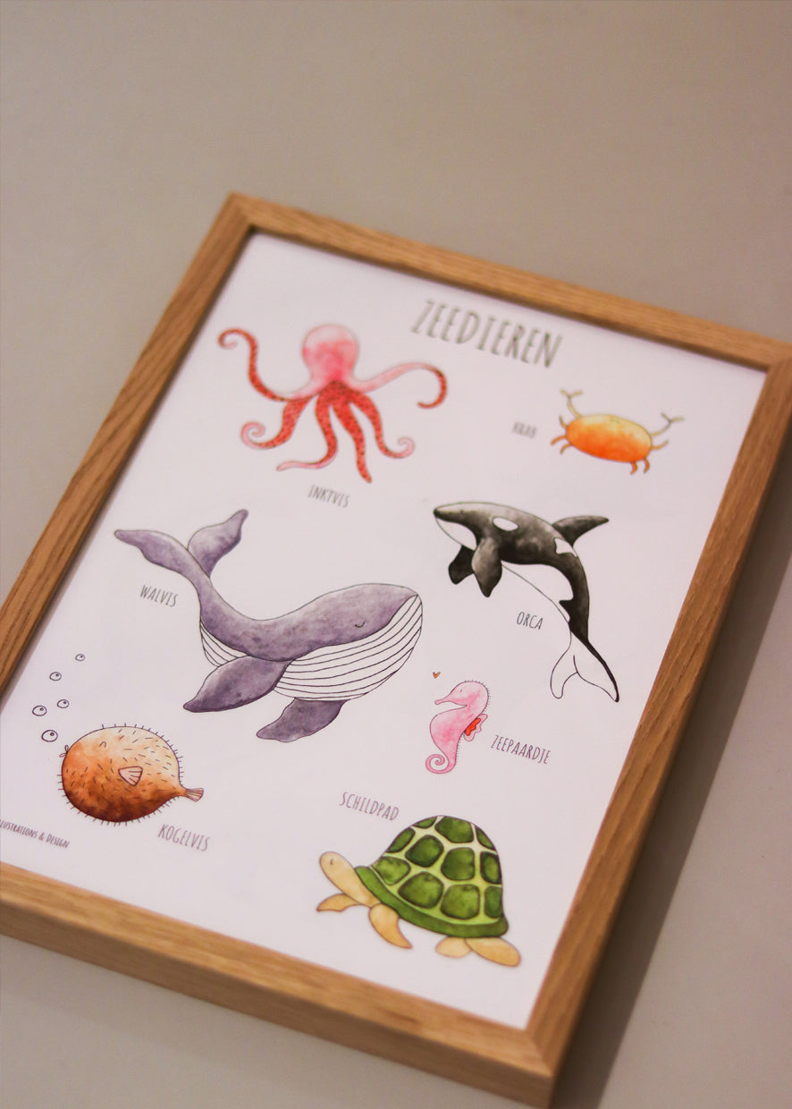 Juulz - poster - zeedieren