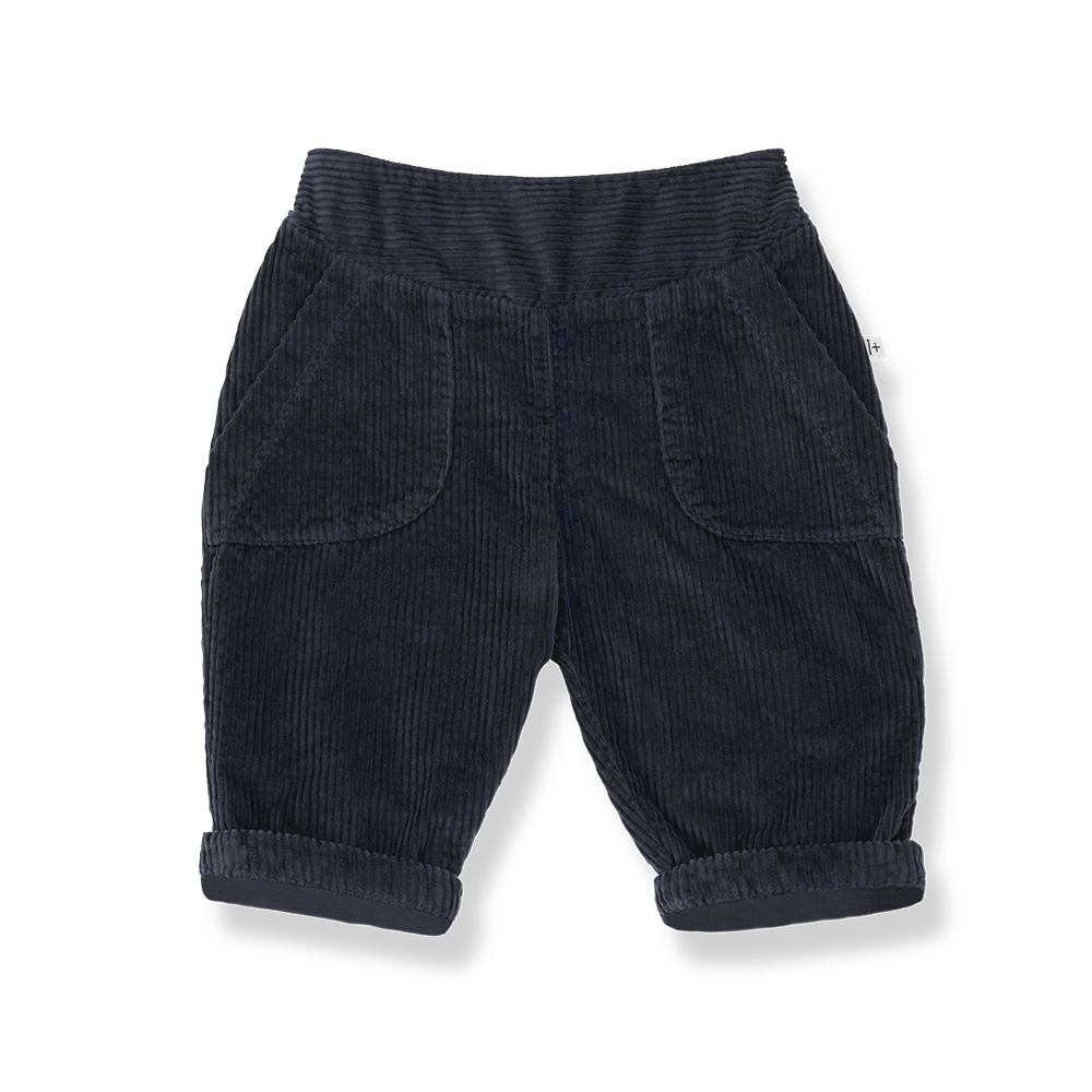 1+ in the family - victoria corduroy broekje - blue