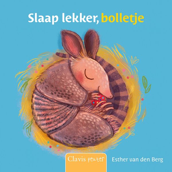 Clavis - kartonboekje - slaap lekker, bolletje