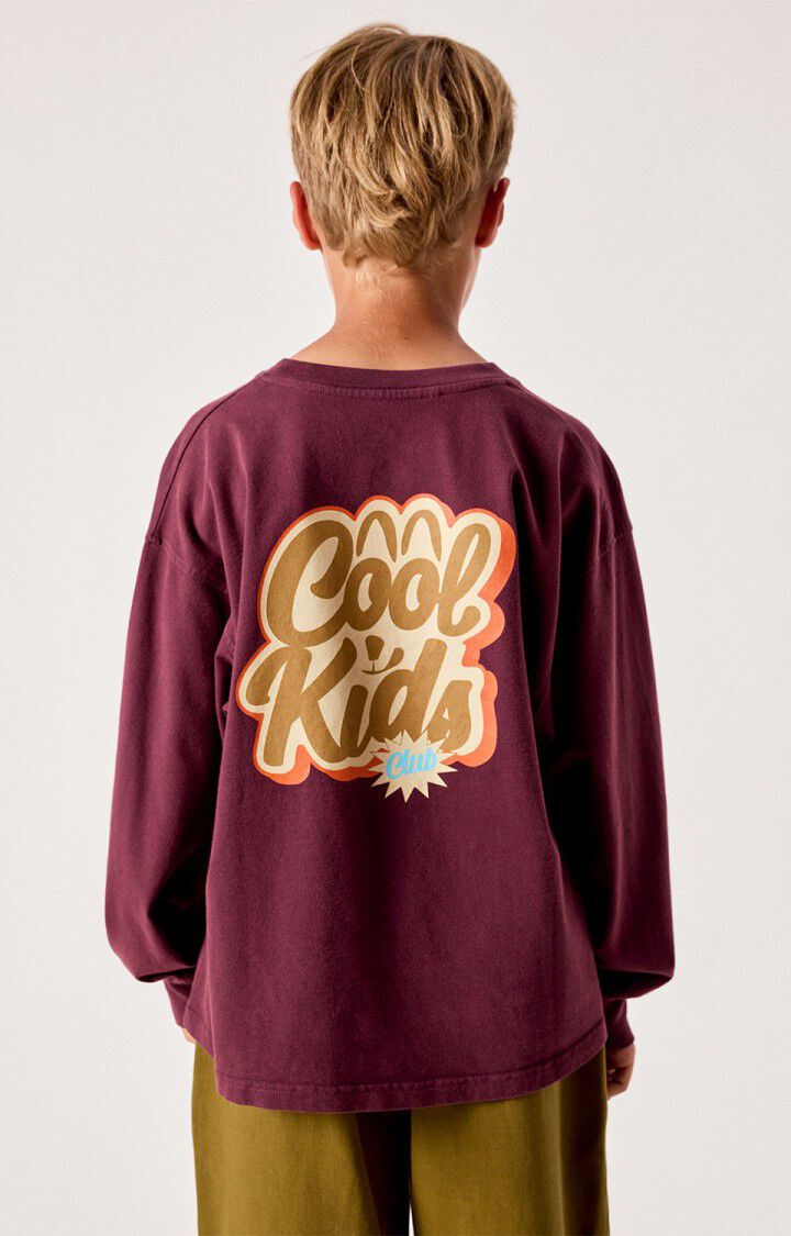 American Vintage - fizvalley tshirt - aubergine vintage