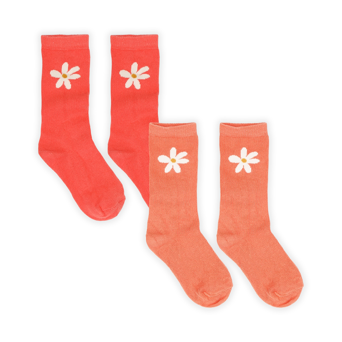 Sproet & Sprout - socks daisy 2pack - rose petal