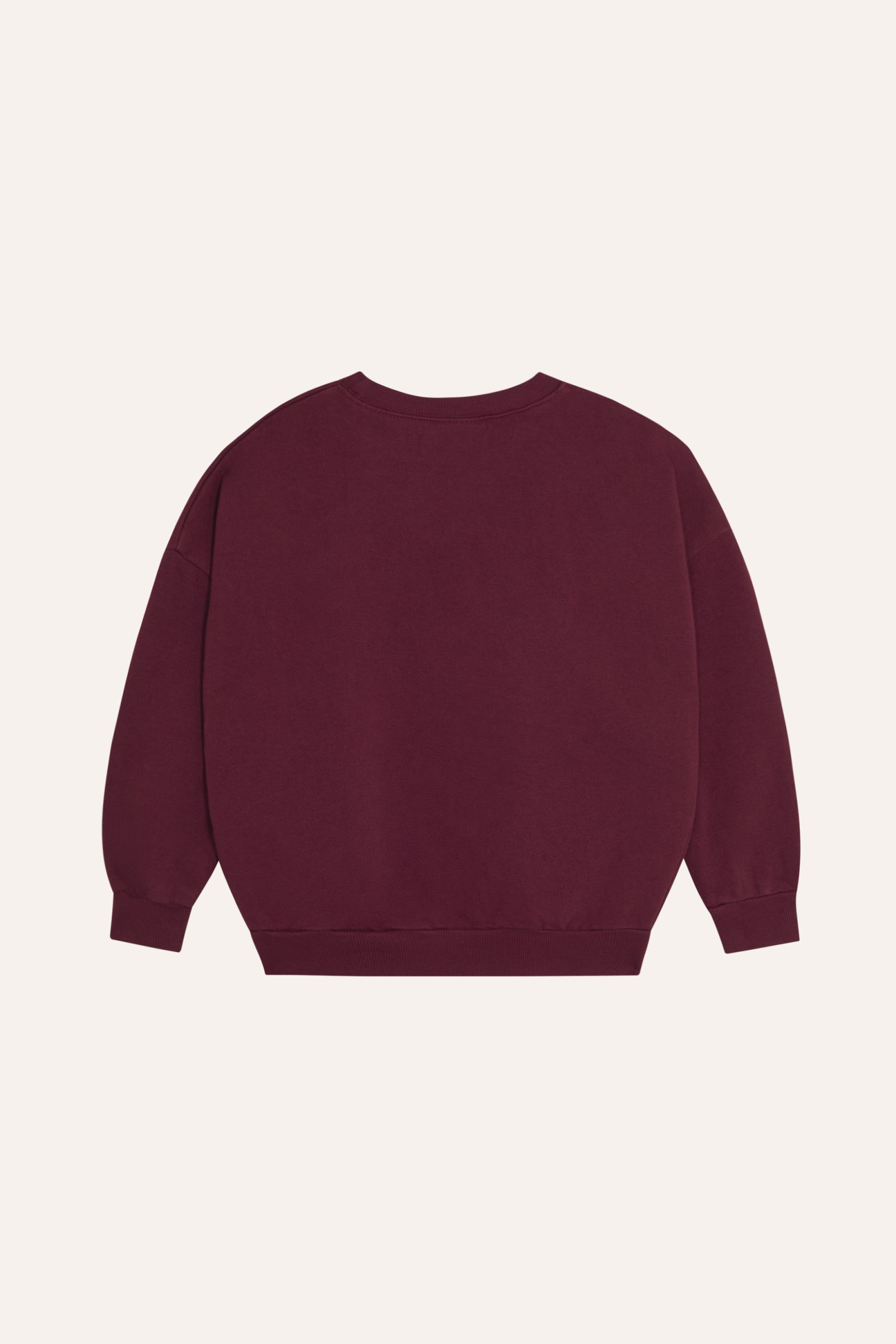 The Campamento - big blue daisy sweatshirt